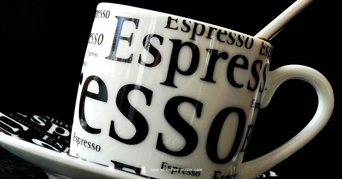 Sage Barista Clone - BrewGuide Pro