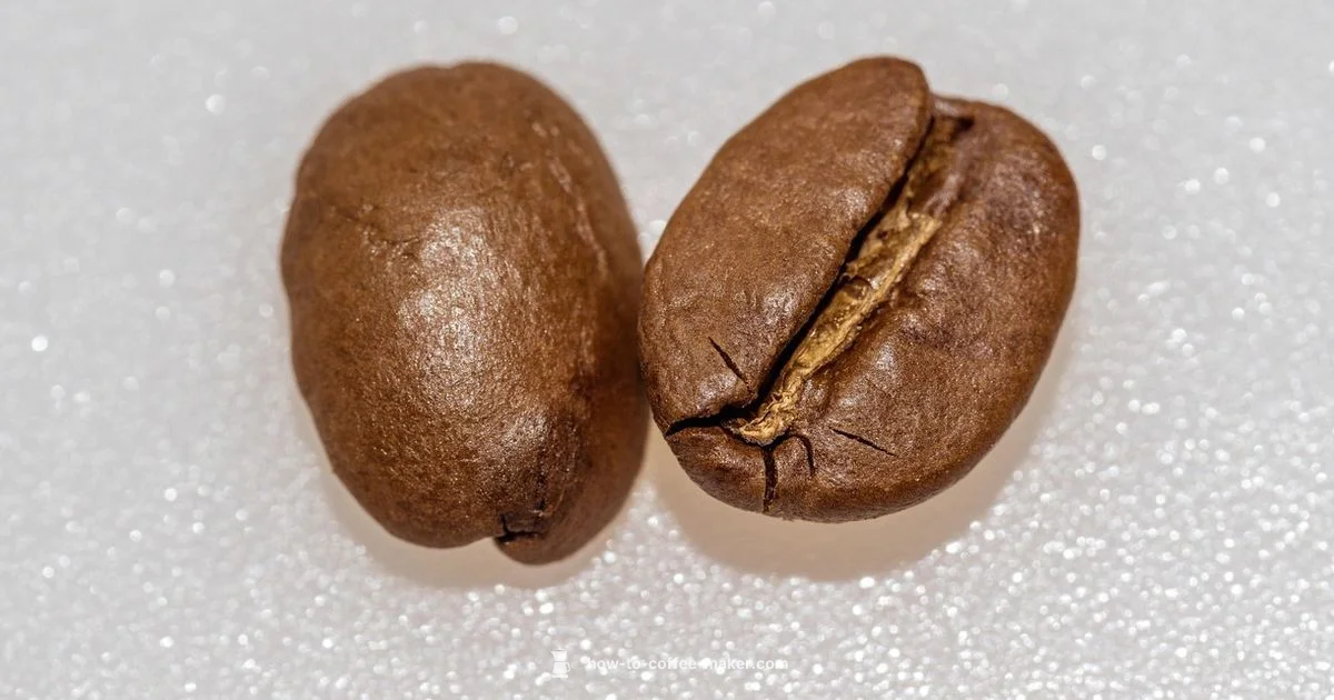 Grind + Brew in One - BrewGuide Pro