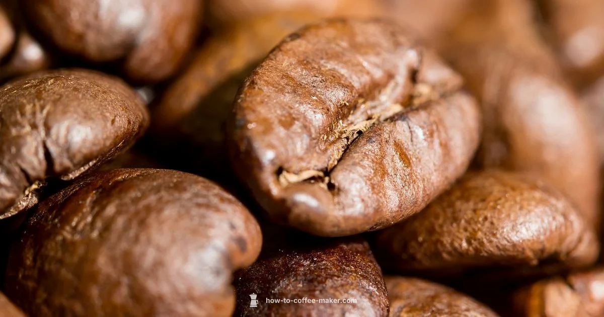 Pod Capsule Guide - BrewGuide Pro