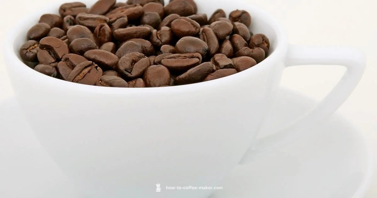 Slow Brew Fix - BrewGuide Pro