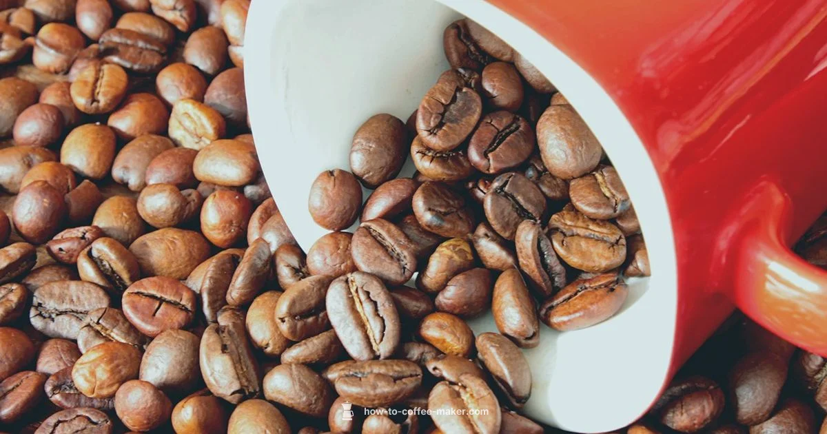 Bean-to-Cup Guide - BrewGuide Pro