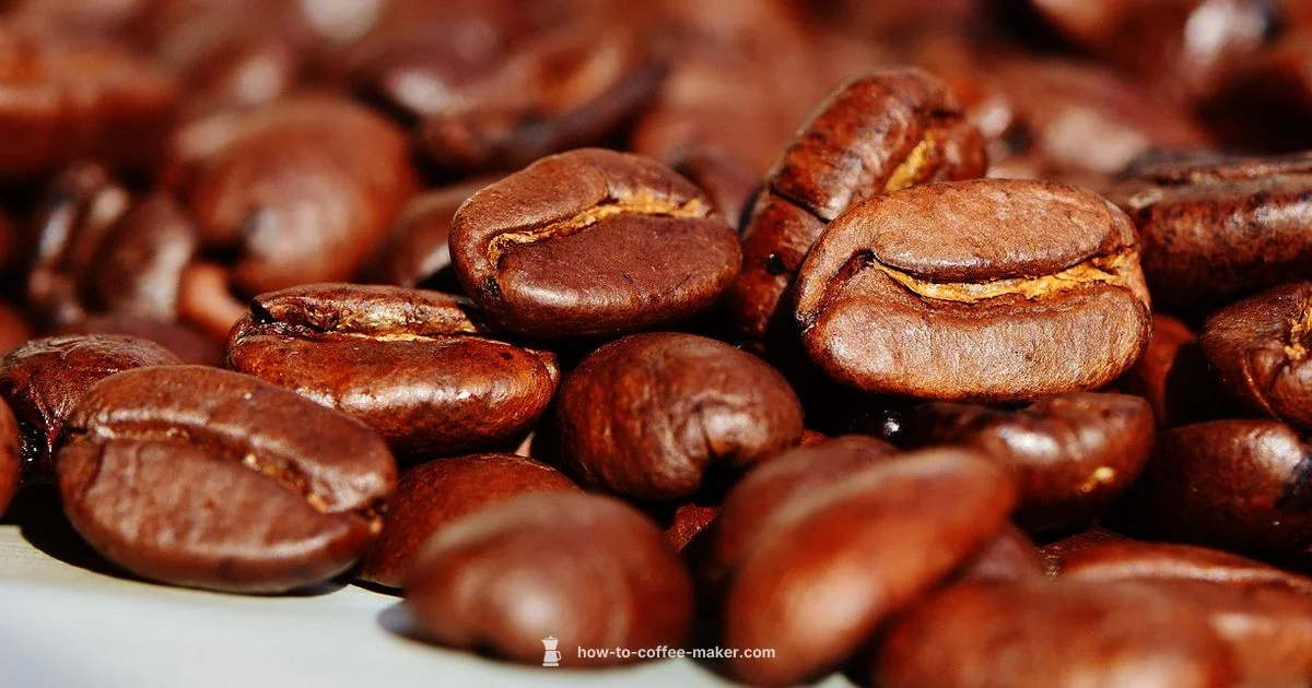 Brewing Basics - BrewGuide Pro