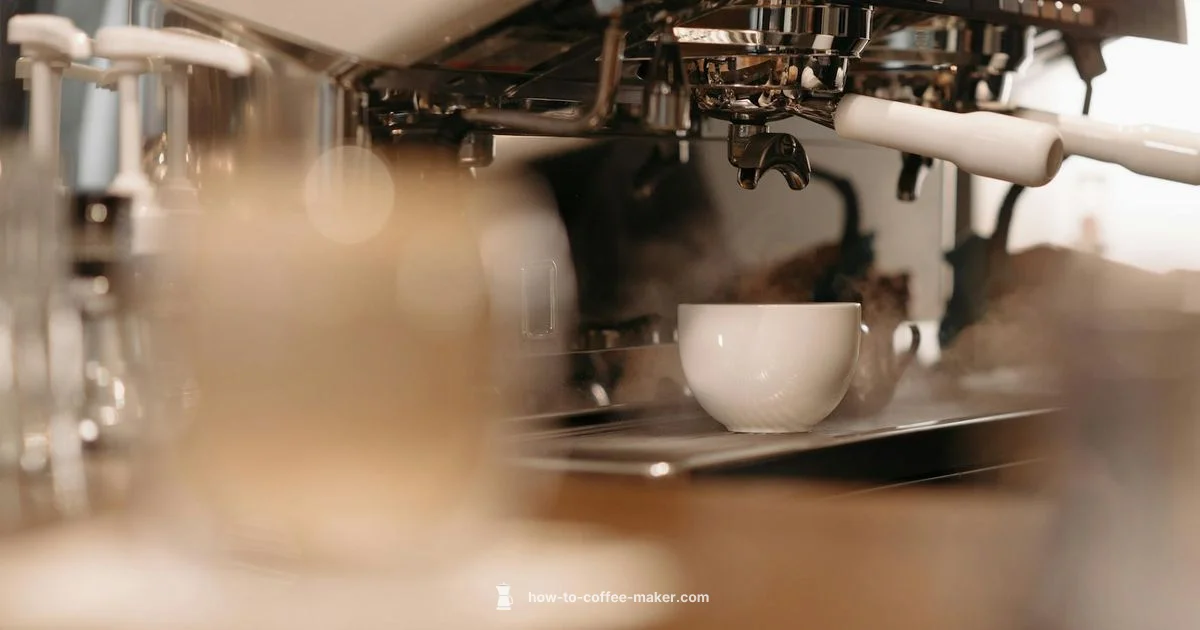 Miele Coffee Guide - BrewGuide Pro