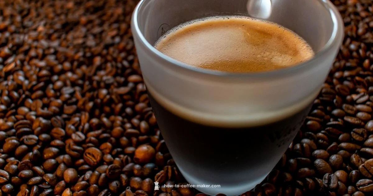 Fresh Grounds Fast Fresh Grounds Fast - BrewGuide Pro