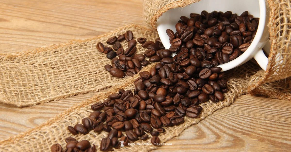 Cuban Coffee Pot Guide - BrewGuide Pro