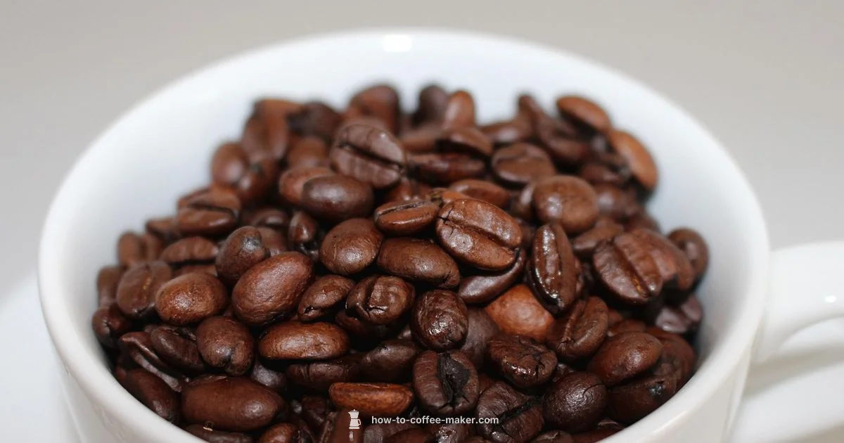 Coffee Machine Quest - BrewGuide Pro