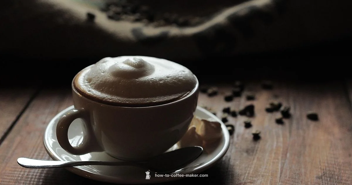 Braun Coffee Makers - BrewGuide Pro