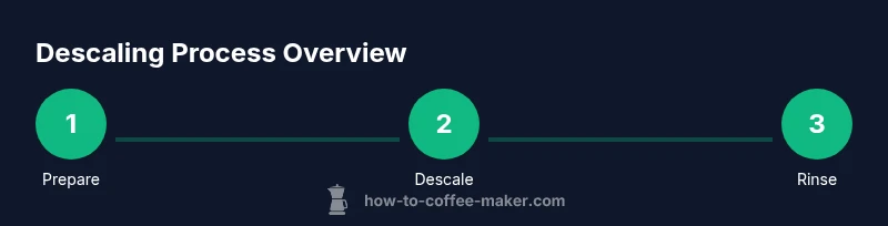 Process diagram showing coffee maker descaling steps