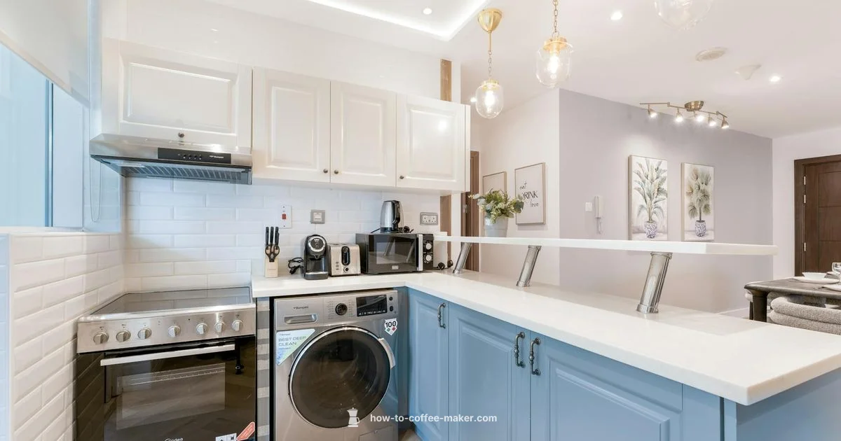 Single Espresso Essentials - BrewGuide Pro