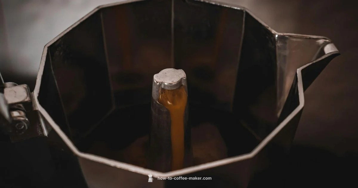 Descale Guide - BrewGuide Pro