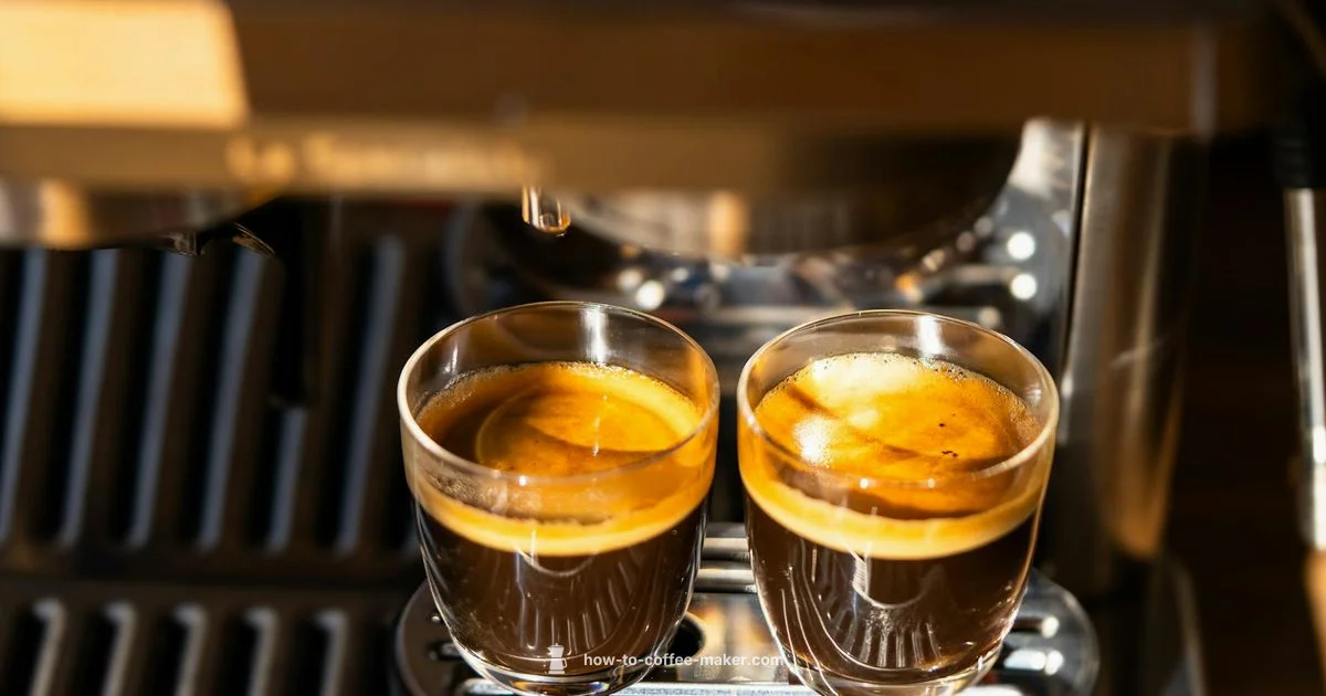 Espresso Shots at Home - BrewGuide Pro