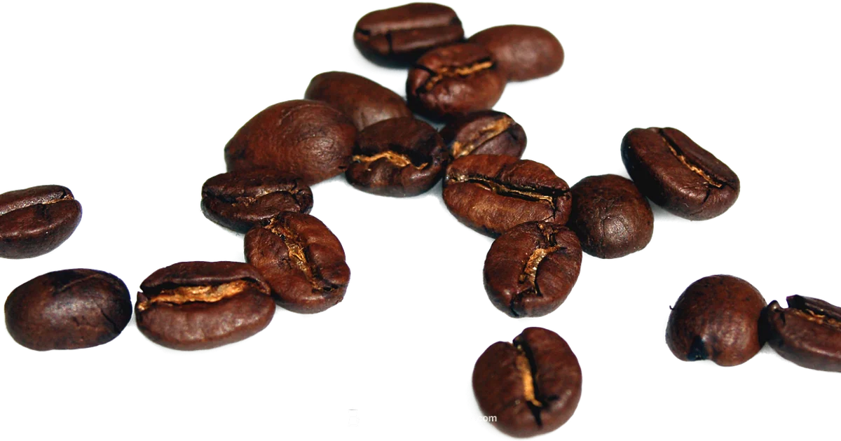 Moccamaster Overview - BrewGuide Pro