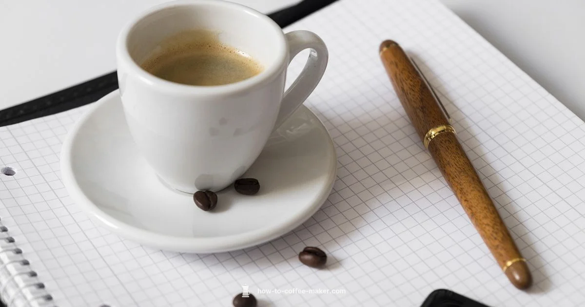 Best Commercial Picks - BrewGuide Pro