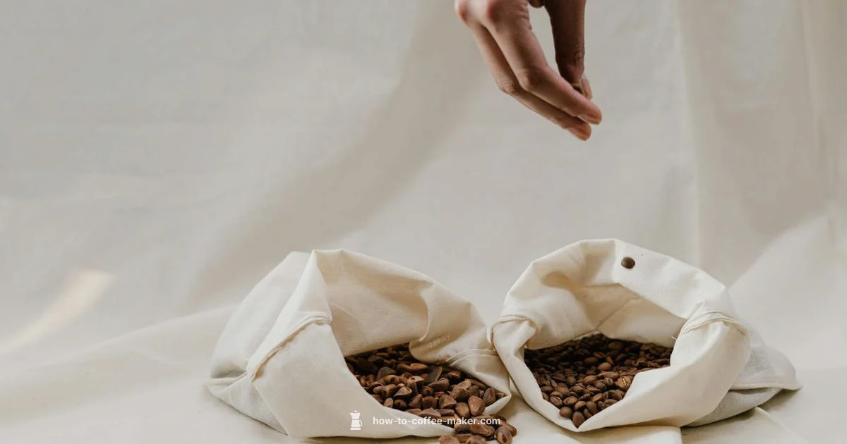 Plastic-Free Brew - BrewGuide Pro