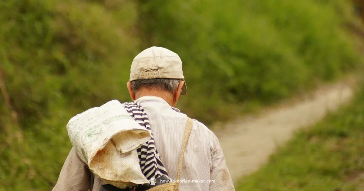 DIY Coffee Fix - BrewGuide Pro