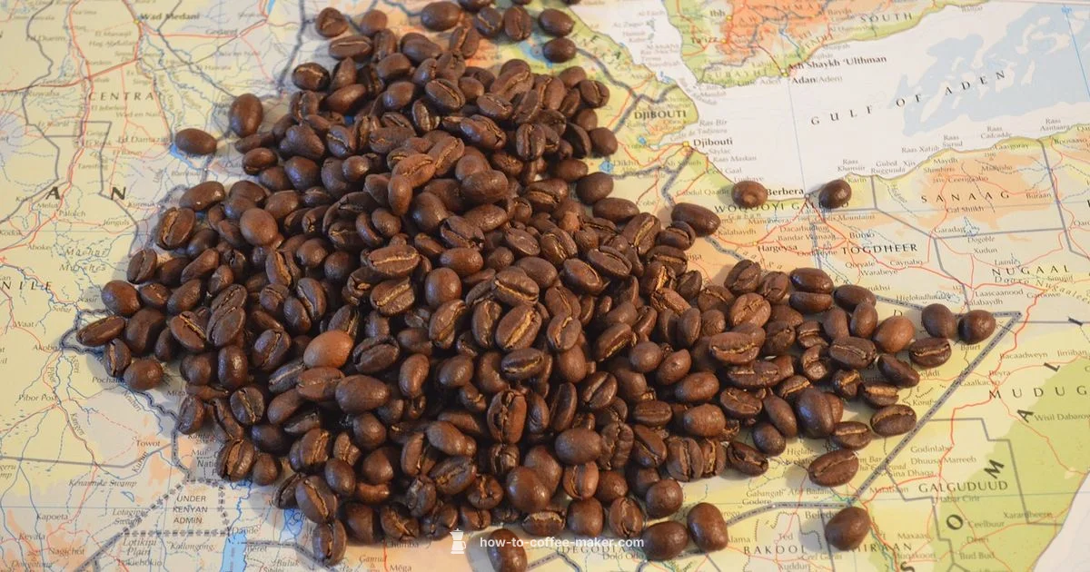 Origin Matters - BrewGuide Pro