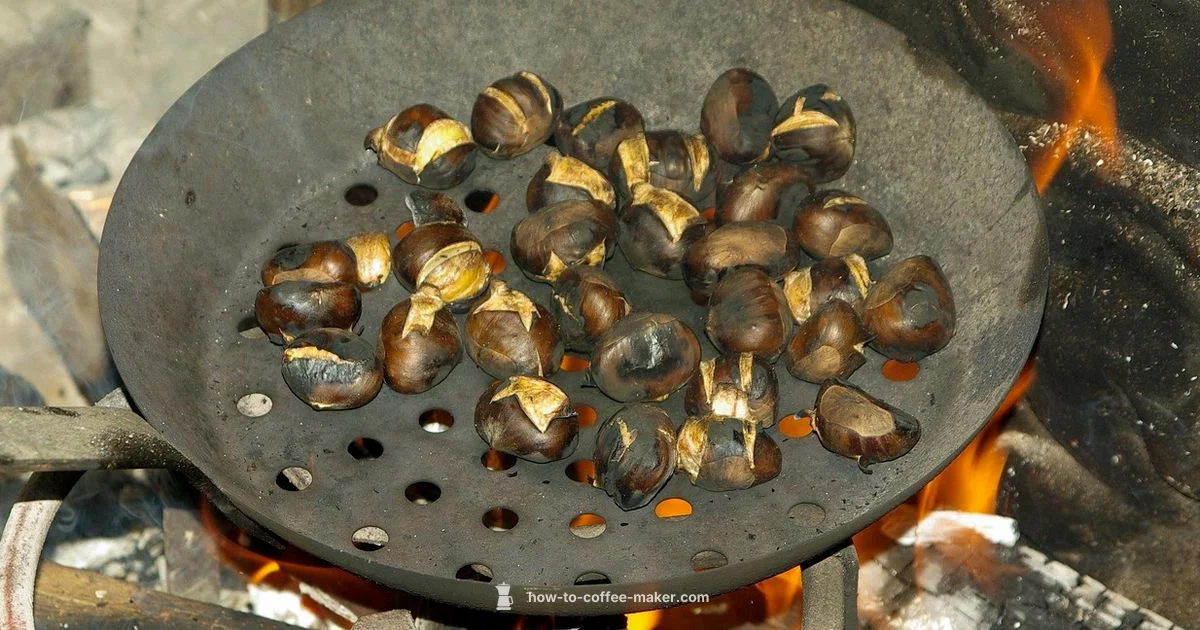 Percolator Filters - BrewGuide Pro