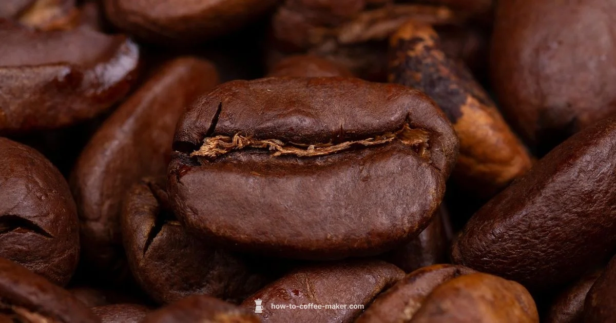 Filter Essentials - BrewGuide Pro