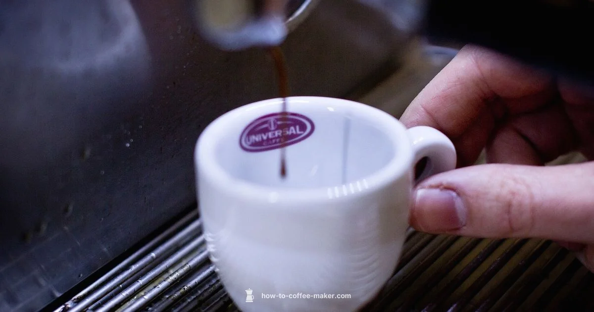 Espresso Setup Guide - BrewGuide Pro