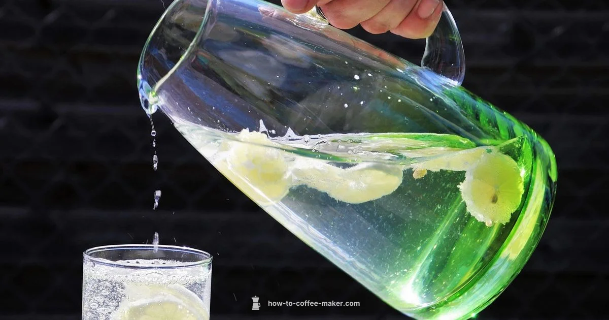 Takeya Cold Brew Maker - BrewGuide Pro