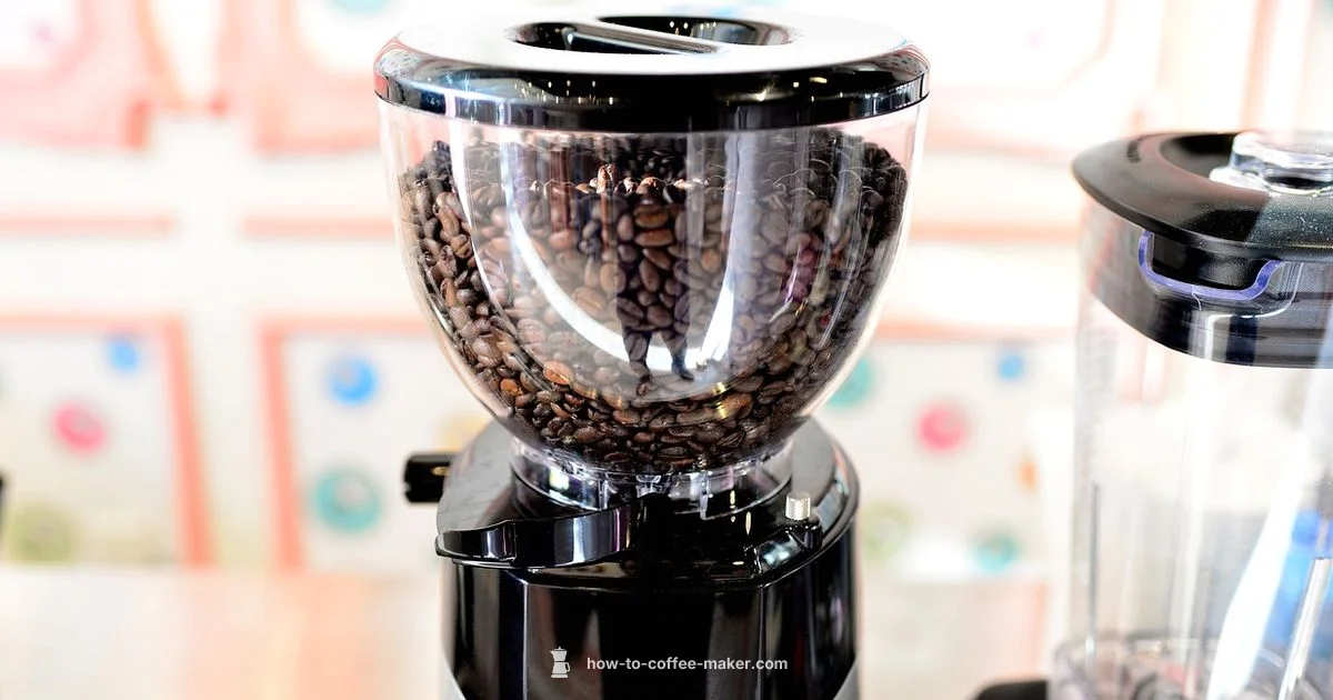 All-in-One vs Separate - BrewGuide Pro