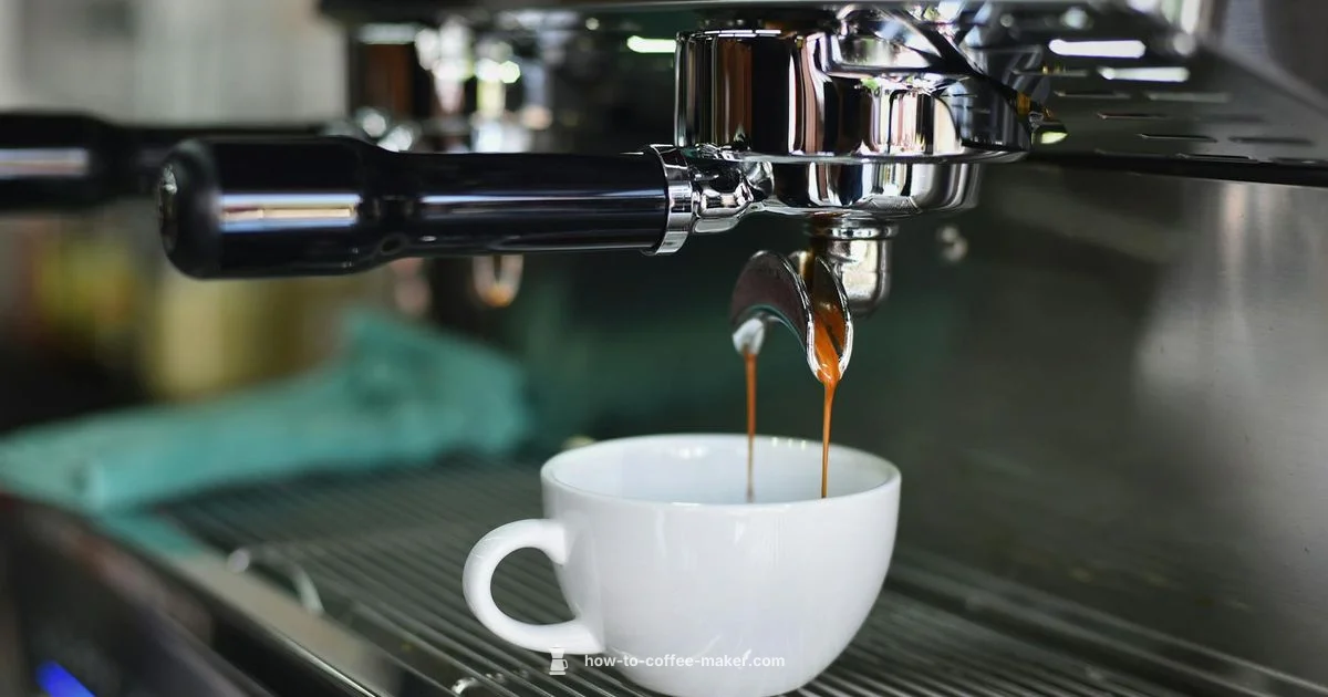 Automatic Cappuccino Guide - BrewGuide Pro