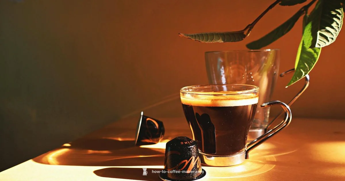 Pod Coffee Guide - BrewGuide Pro