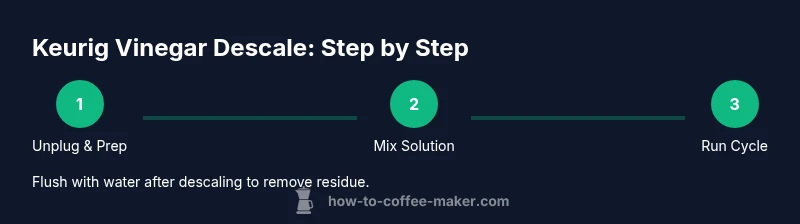 Infographic showing step-by-step Keurig vinegar descaling process