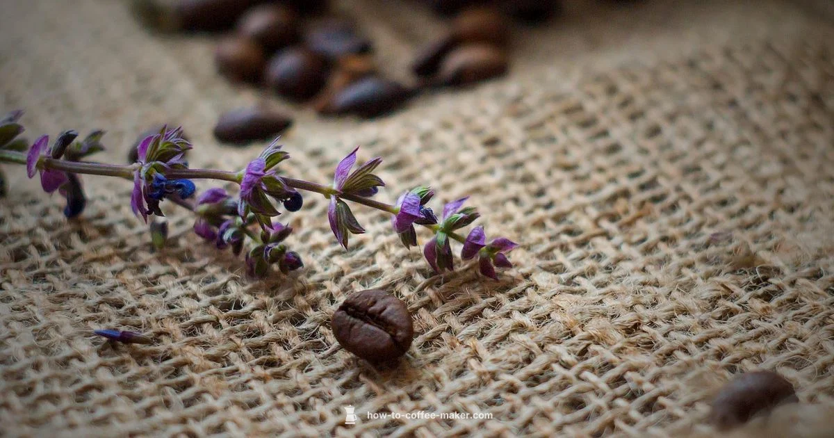 Sage at home - BrewGuide Pro