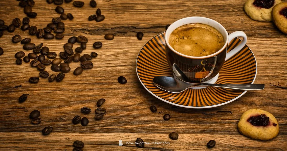 Bean to Cup Guide - BrewGuide Pro