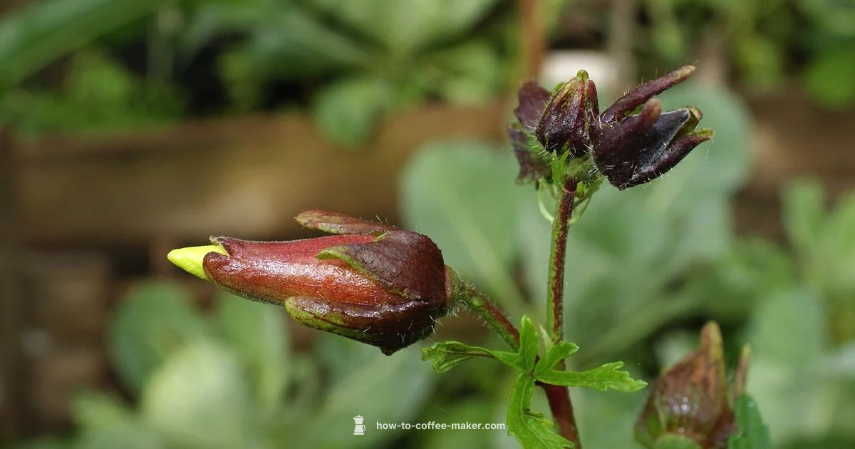 One-Person Brew - BrewGuide Pro