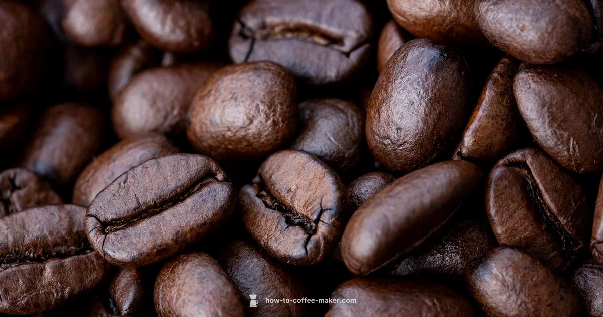 Cafe Style at Home - BrewGuide Pro