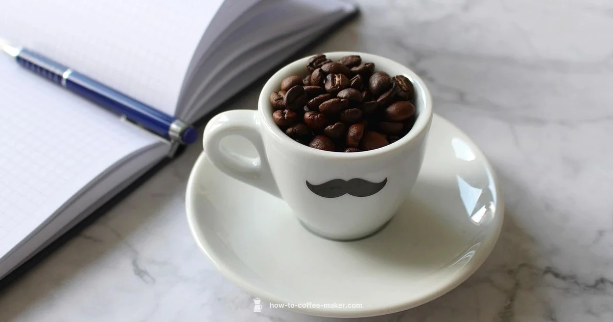 Office Coffee, Elevated - BrewGuide Pro