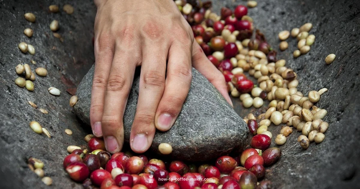 Boost Coffee Output - BrewGuide Pro