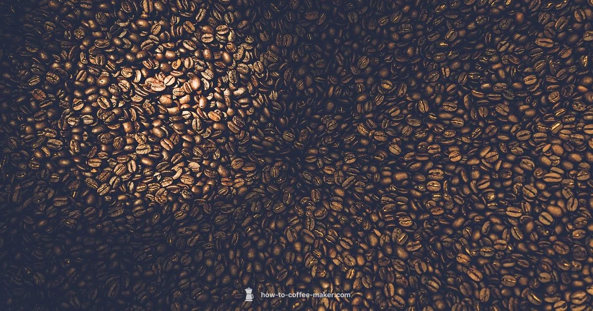 Coffee vs Espresso - BrewGuide Pro