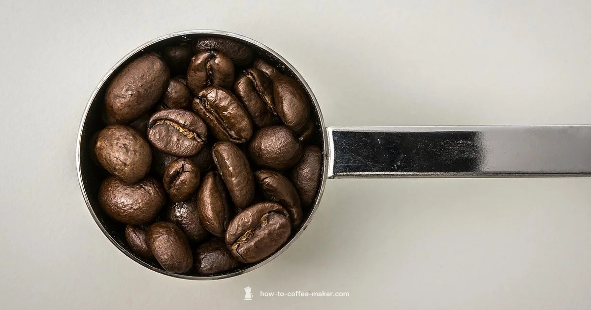 Coffee Makers 101 - BrewGuide Pro