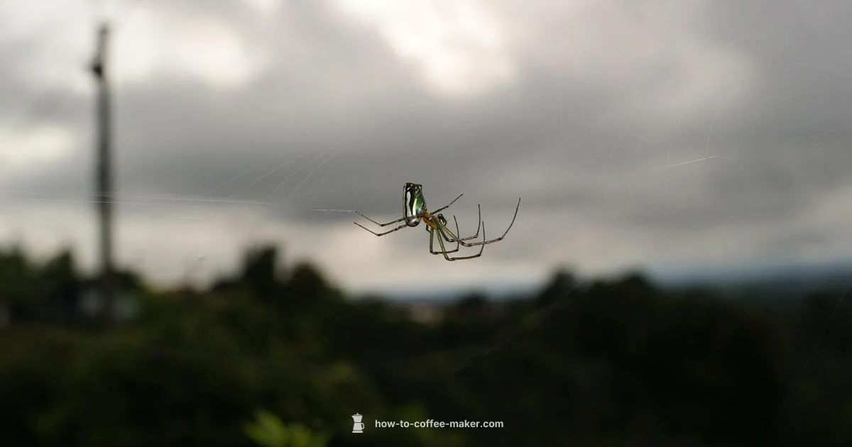 Shop Coffee Makers - BrewGuide Pro