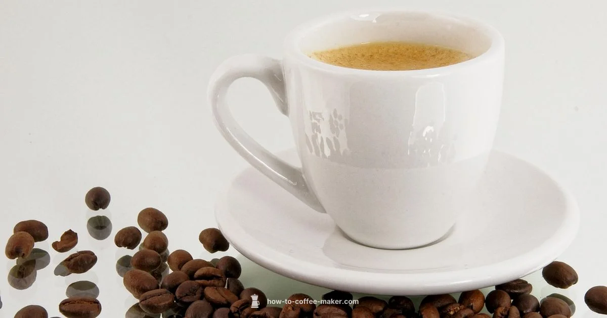 Breville Pot Guide - BrewGuide Pro