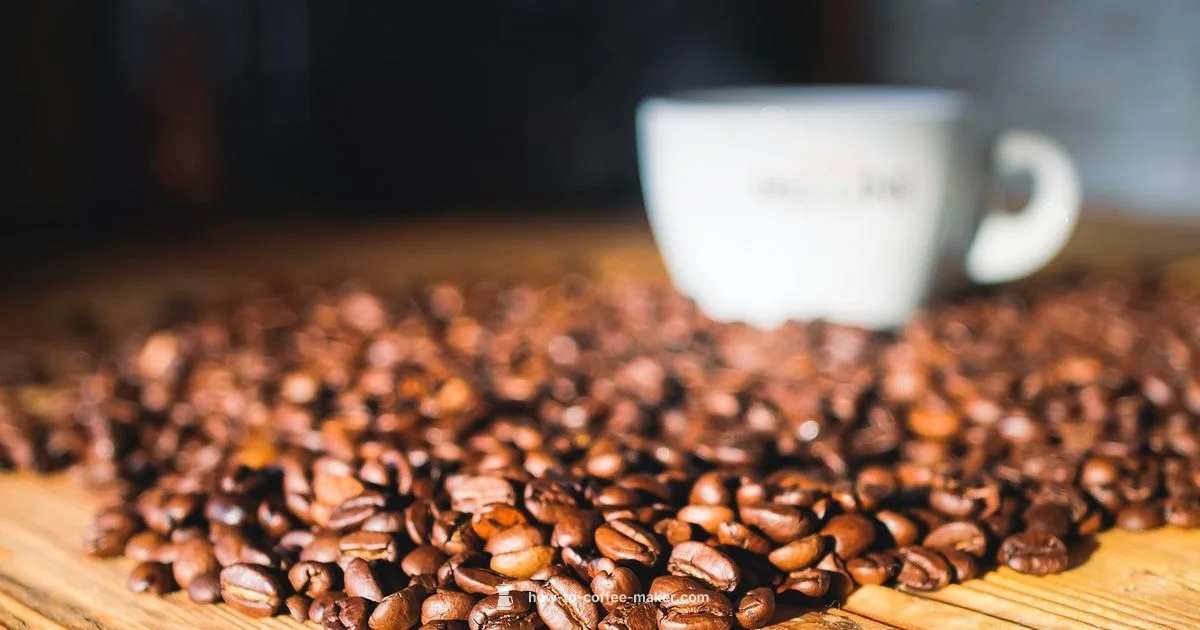 Bean to Cup Guide - BrewGuide Pro