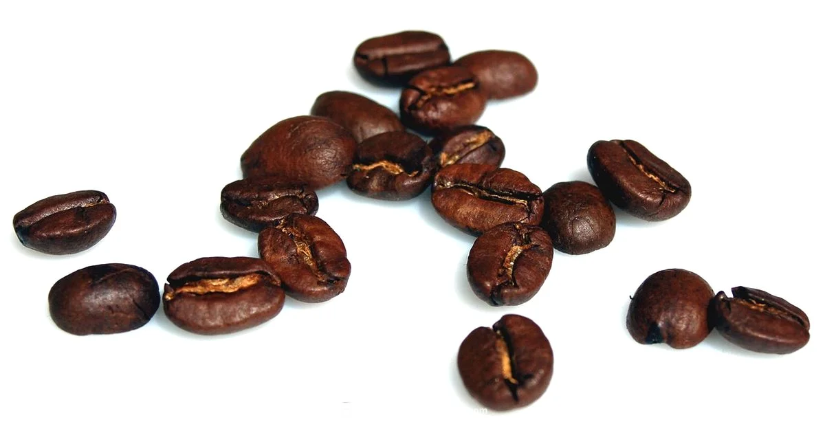 One Touch Espresso - BrewGuide Pro