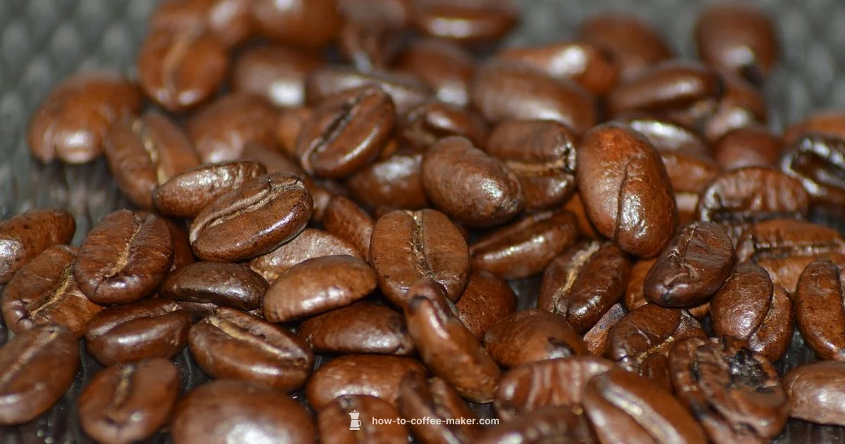 Best Coffee Maker Guide Best Coffee Maker Guide - BrewGuide Pro