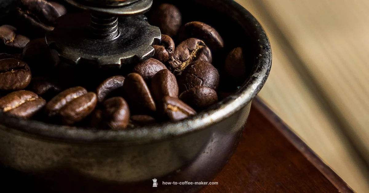 Grinder vs No-Grinder - BrewGuide Pro