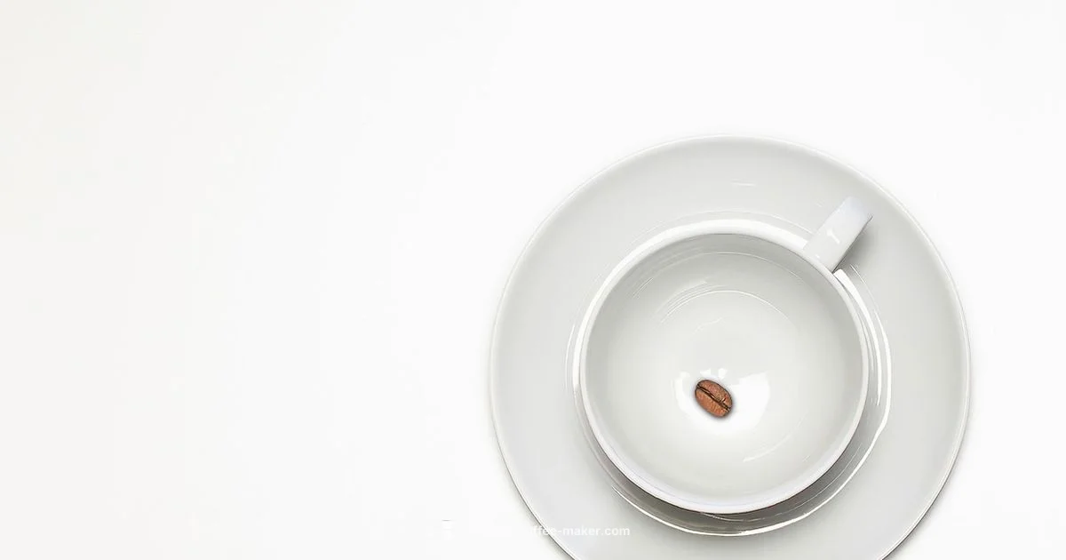 Descale Your Oxo - BrewGuide Pro