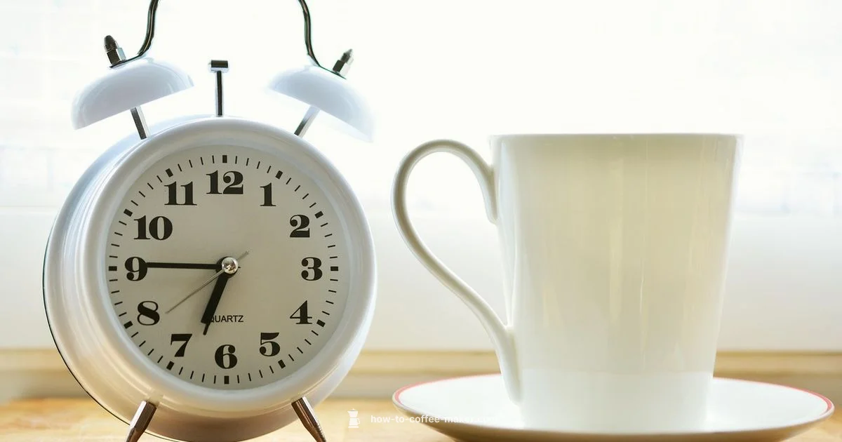 8-Cup Brew Guide - BrewGuide Pro