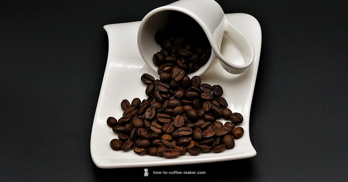 Dishwasher Safe or Not - BrewGuide Pro