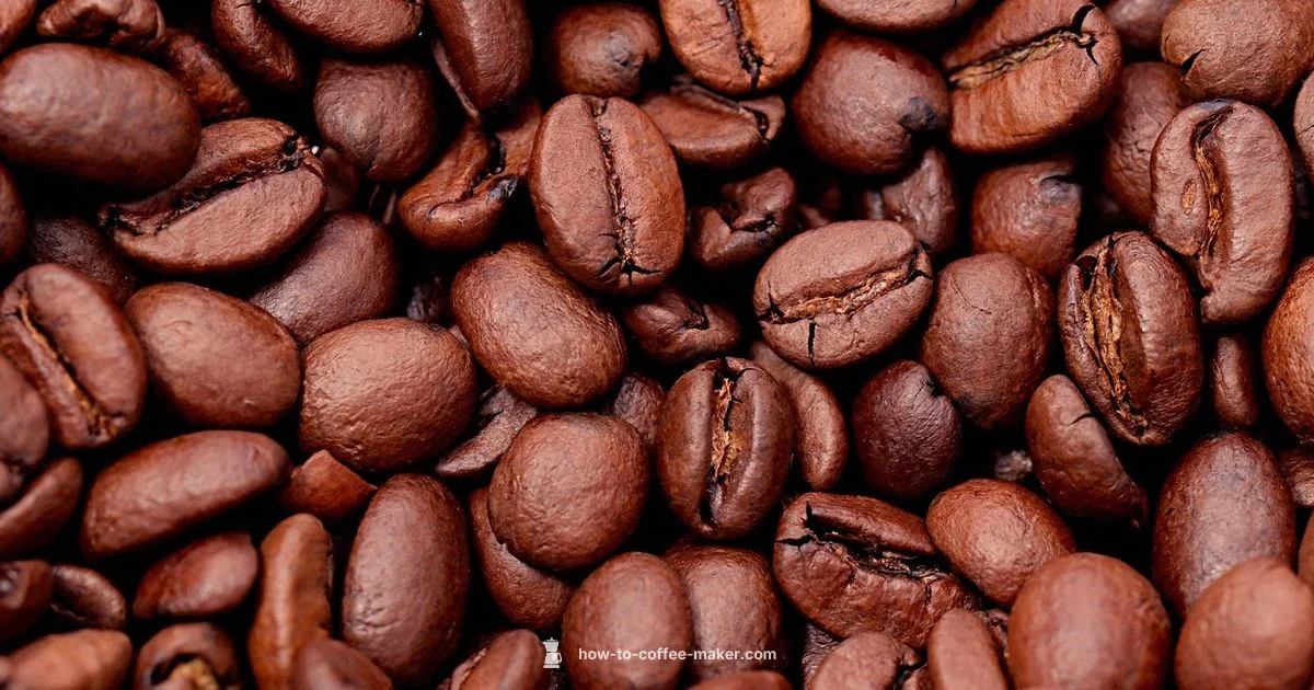 Plastic Taste Fix Plastic Taste Fix - BrewGuide Pro