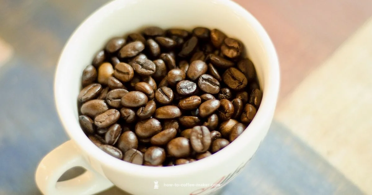 Mr Coffee Grinder Guide - BrewGuide Pro