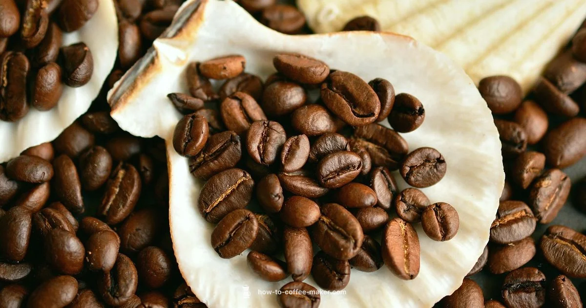 Descale Frequency Guide - BrewGuide Pro