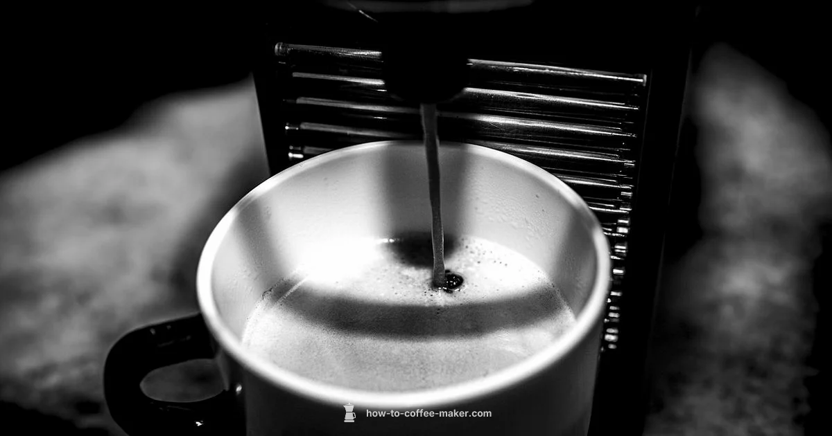 Check Your Coffee Maker - BrewGuide Pro