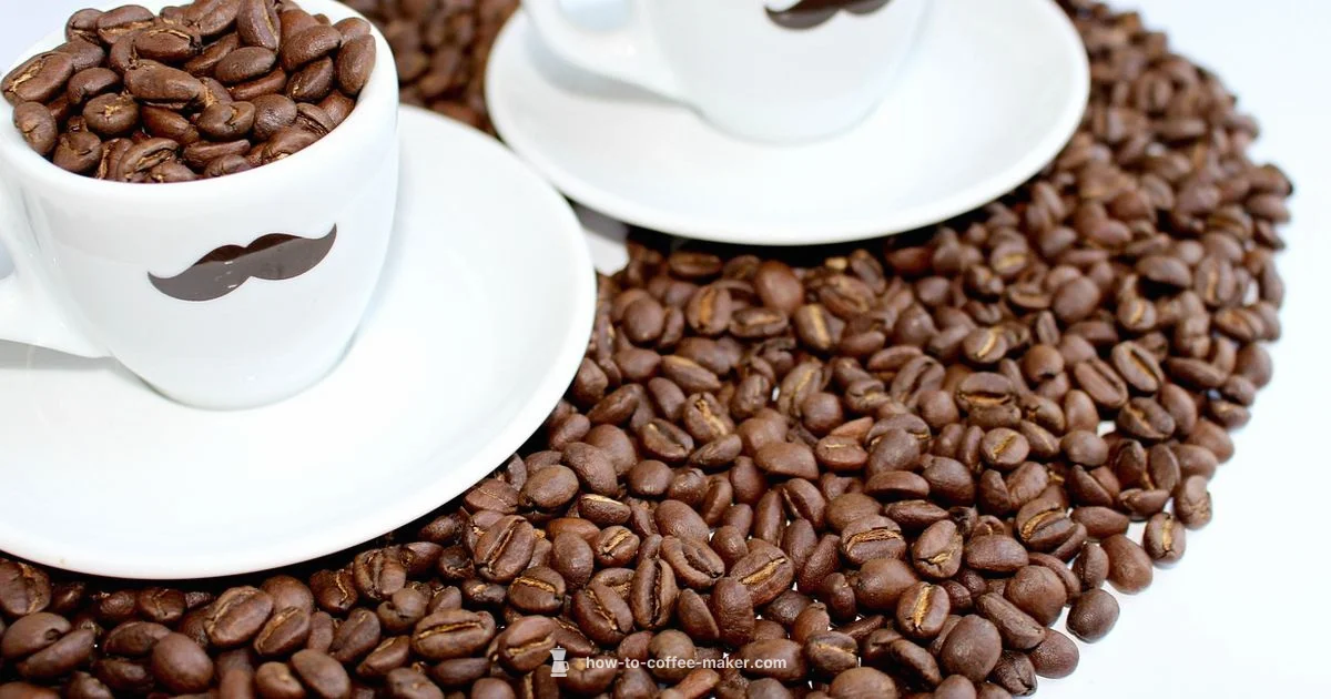 Bialetti Coffee Guide - BrewGuide Pro